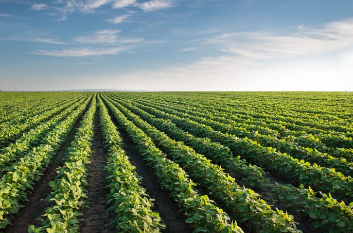Terreno rústico vista aérea campo agrícola